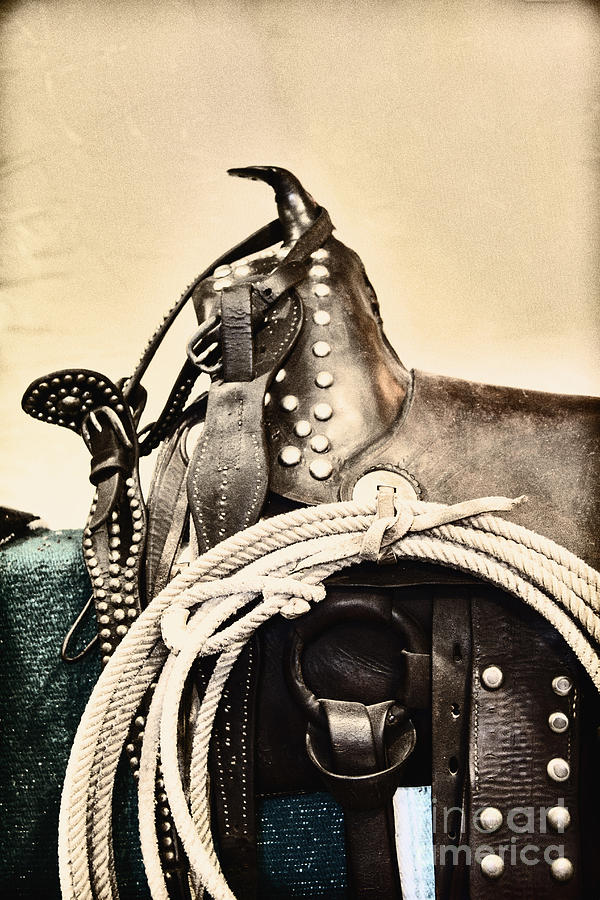 Vintage Photograph - Saddle by Margie Hurwich