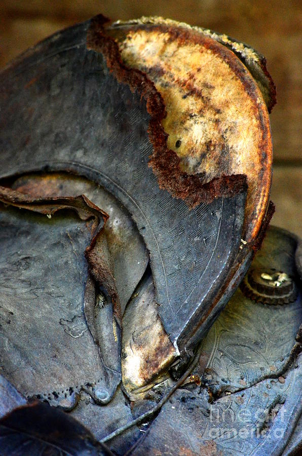 Saddle Sore Photograph By Newel Hunter - Fine Art America