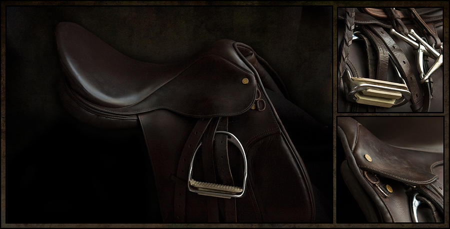 Saddle Triptych by M Davis Saddle Triptych by M Davis