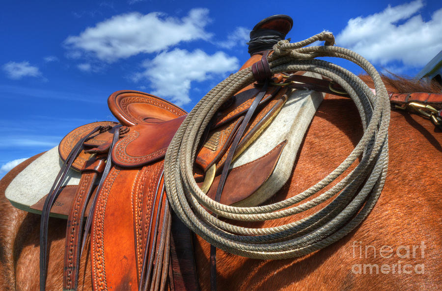 Horse Photograph - Saddle Up by Bob Christopher