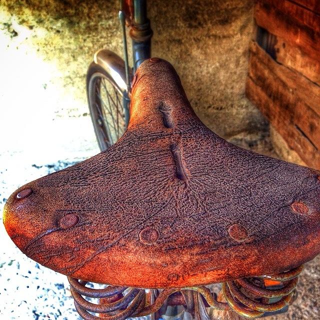 Rusty Photograph - Saddle

#saddle #leather by Moto Jp