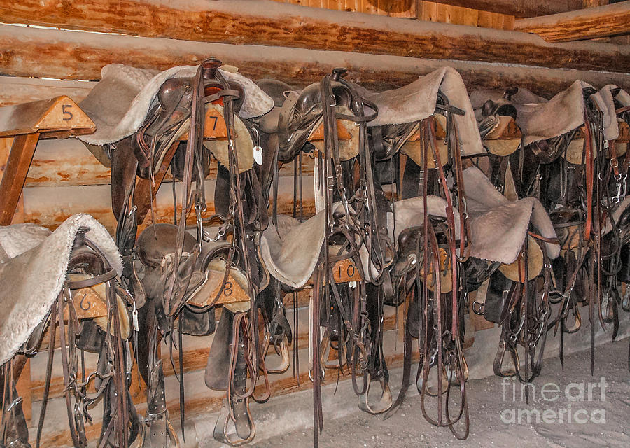 Saddles and Bridles Photograph by Sue Smith