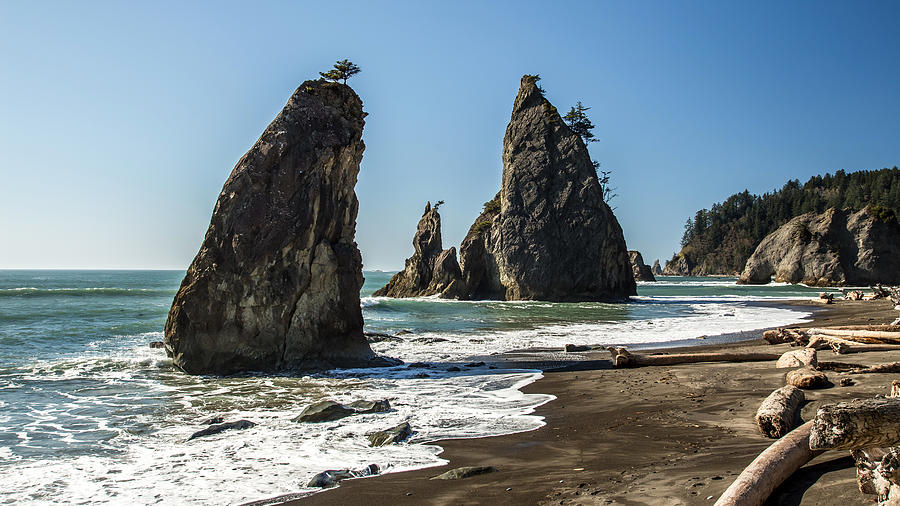 Sae stacks on Rialto Beach Photograph by Pierre Leclerc Photography