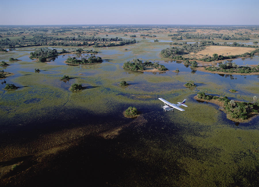 Safari Airplane Flying Over Okavango Photograph by Konrad Wothe