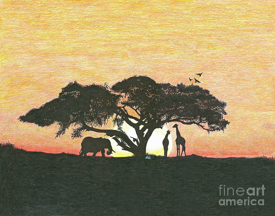 safari-drawing-by-ashley-hall-fine-art-america