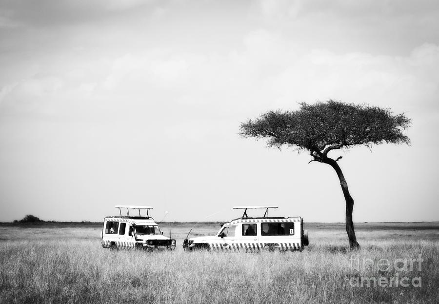 Safari Dream Photograph by Chris Scroggins