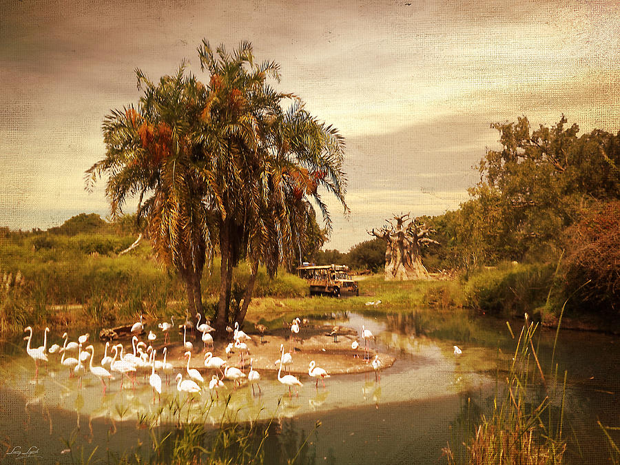 Orlando Photograph - Safari Ride by Lourry Legarde