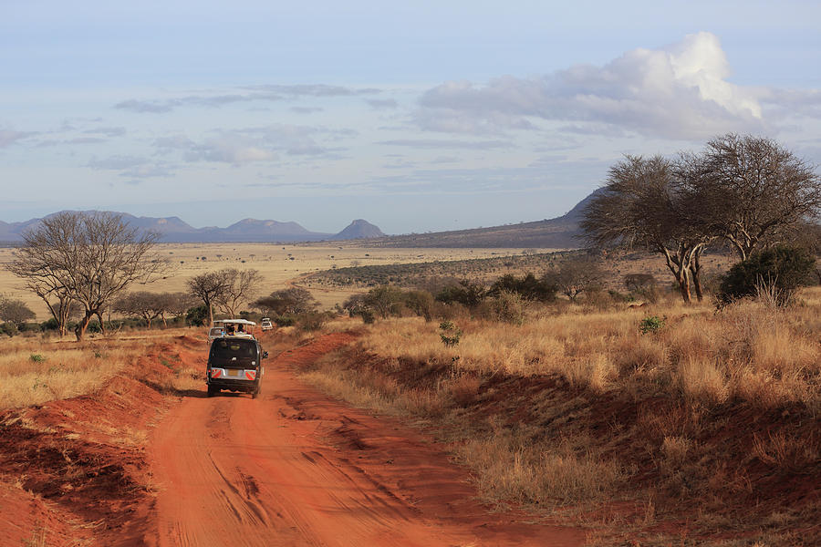 Safari,tsavo National Park, Kenya Photograph by Vincenzo Lombardo