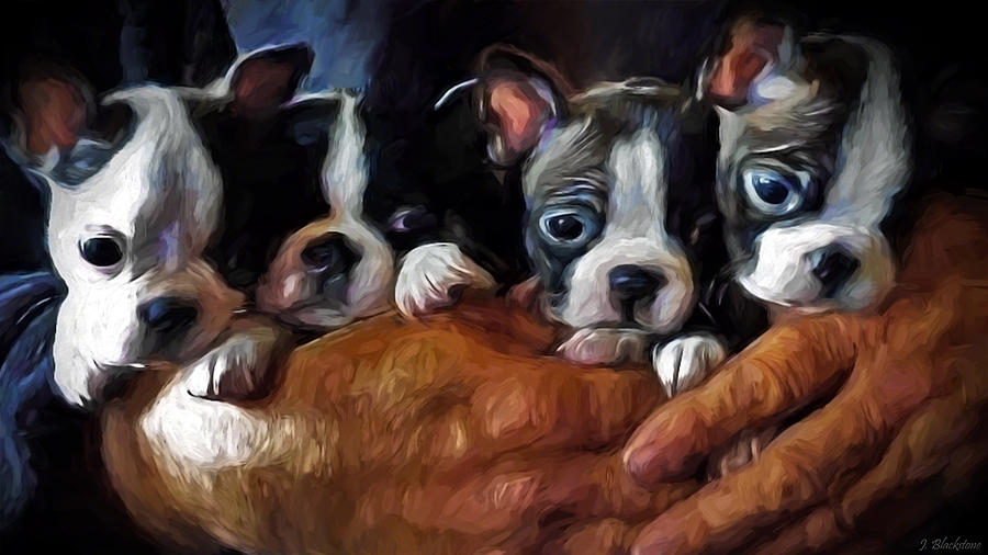 Safe In The Arms Of Love - Puppy Art Painting by Jordan Blackstone