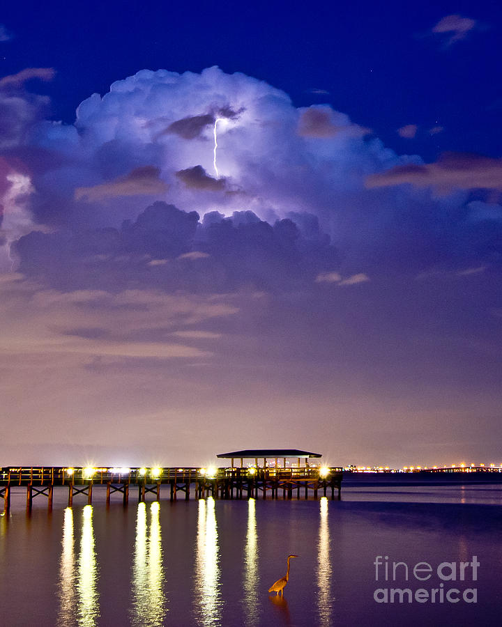 Safety Harbor Pier Illuminated Photograph by Stephen Whalen