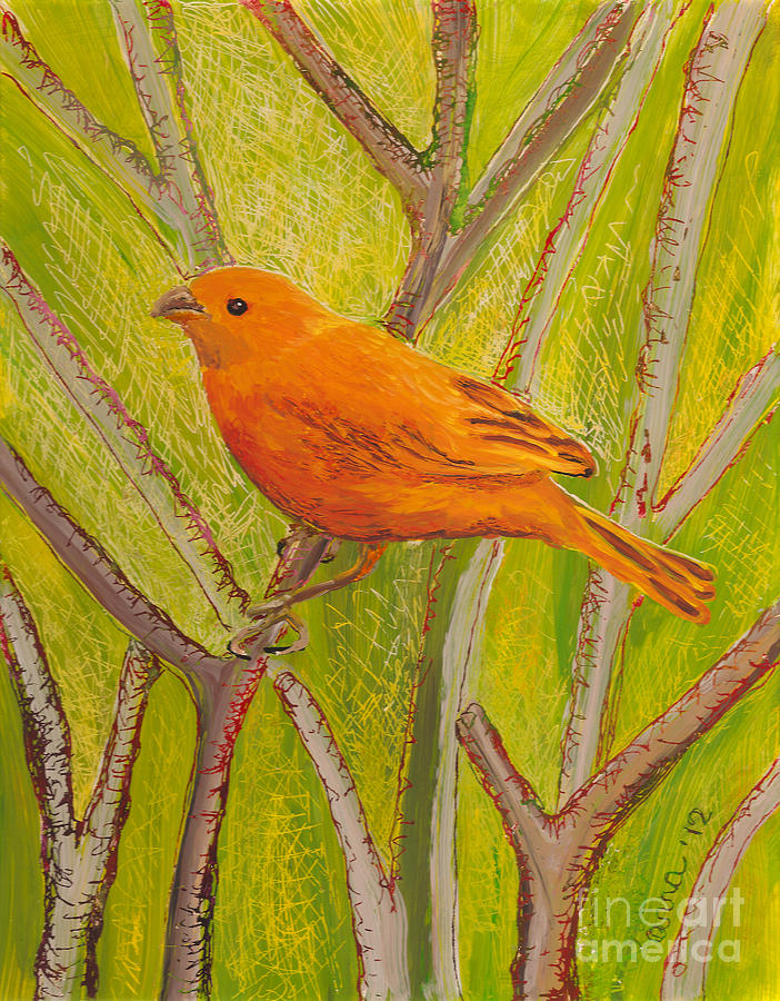 Saffron Finch Painting by Anna Skaradzinska