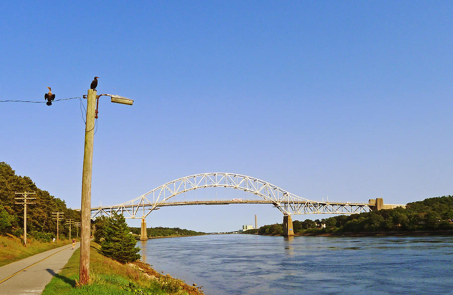 Bridge Photograph - Sagamore Bridge with Cormorants by Frank Winters