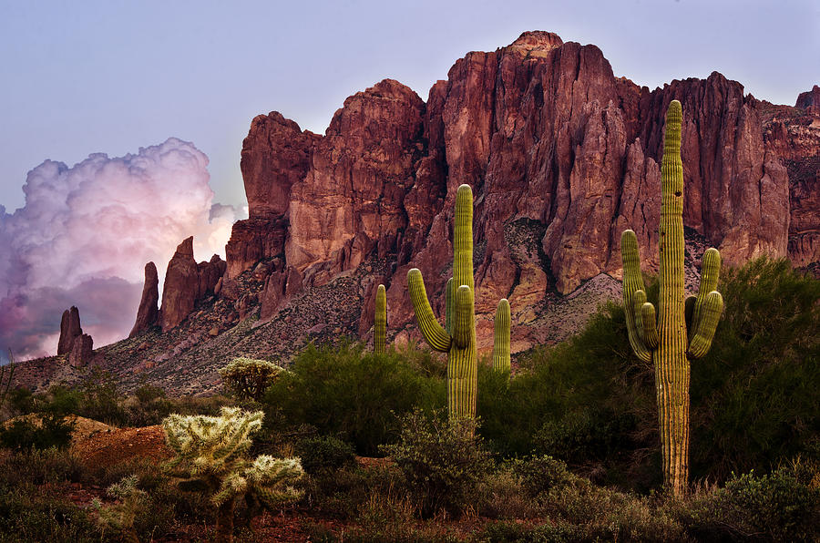 Cactus Photograph - Saguaro Cactus and the Superstition Mountains by Dave Dilli Cactus Photograph - Saguaro Cactus and the Superstition Mountains by Dave Dilli