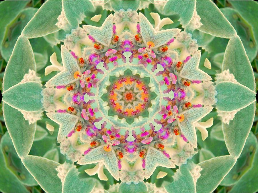 Sage Flower Mandala Digital Art by Diane Lynn Hix