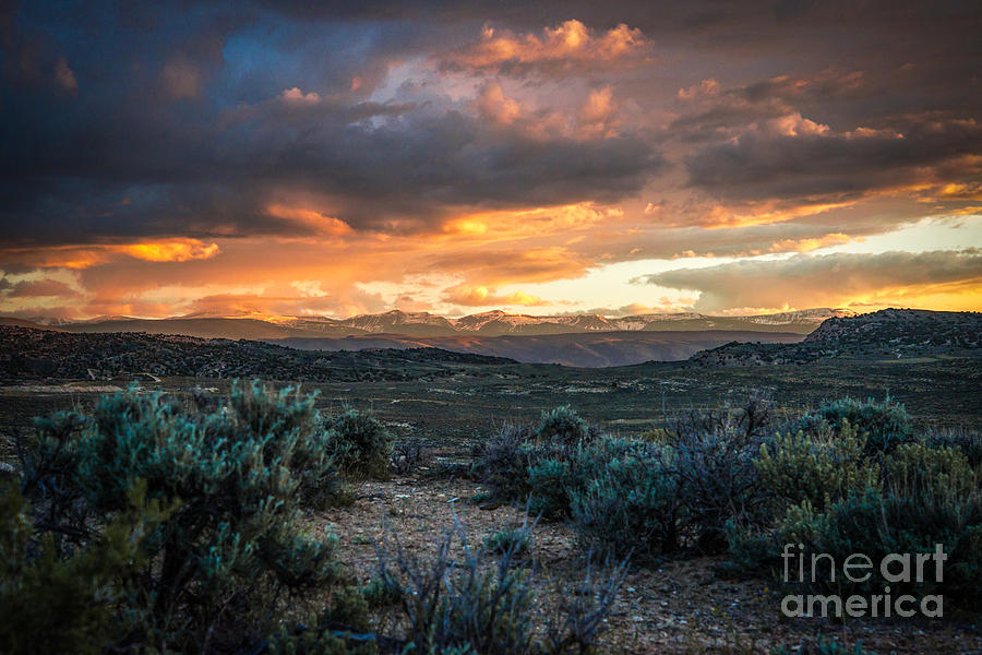 Sagebrush Sunset Photograph by Joseph Rossi Fine Art America