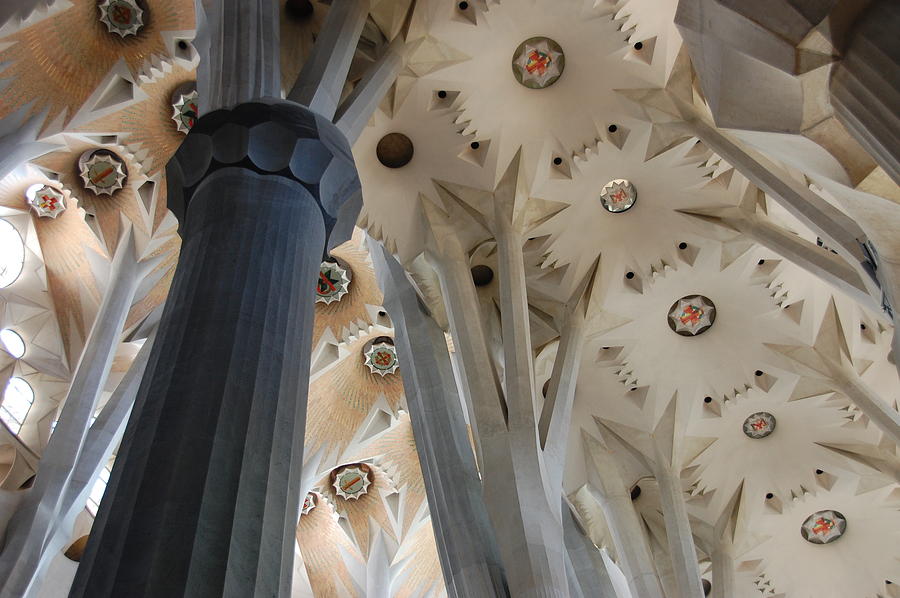 Sagrada Familia Ceiling Photograph by Kendell Timmers - Fine Art America