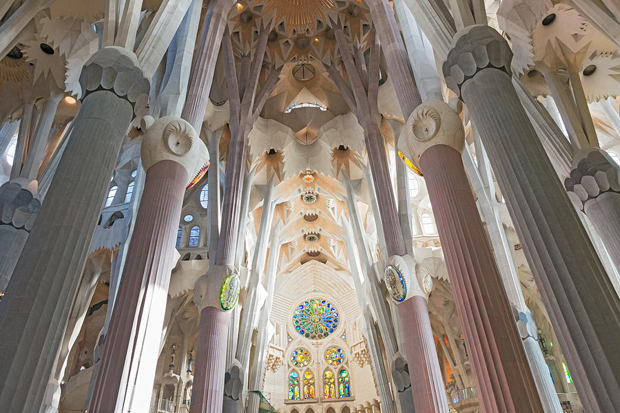 Sagrada Familia interior Barcelona Photograph by Marek Poplawski