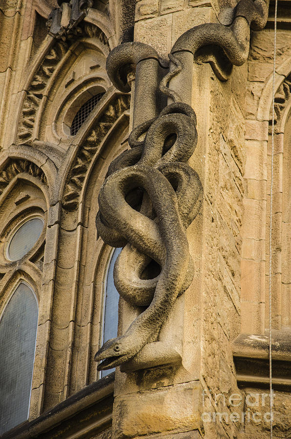 Sagrada Serpent Gargoyle Photograph by Deborah Smolinske