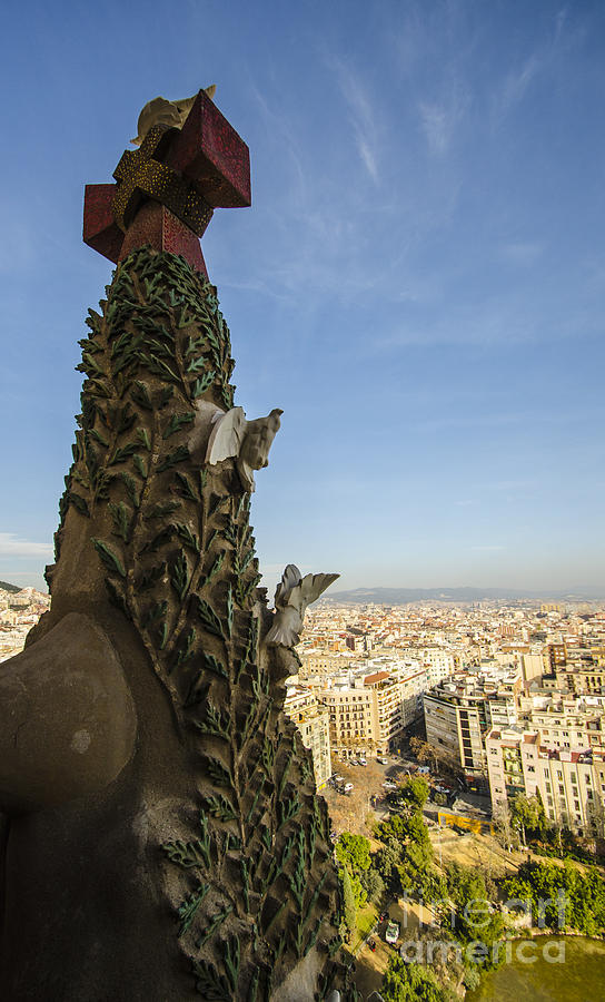 Sagrada Tree of Life Overlooking Barcelona Photograph by Deborah Smolinske