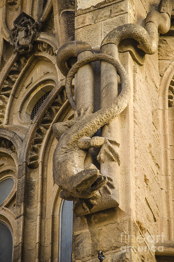 Sagrada Wall Lizard Gargoyle Photograph by Deborah Smolinske