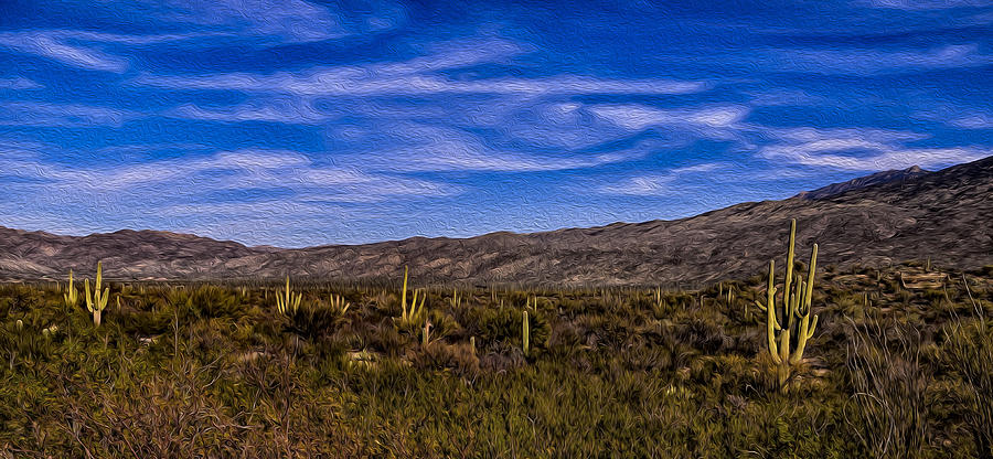 Saguaro Afternoon No.2 Photograph by Mark Myhaver