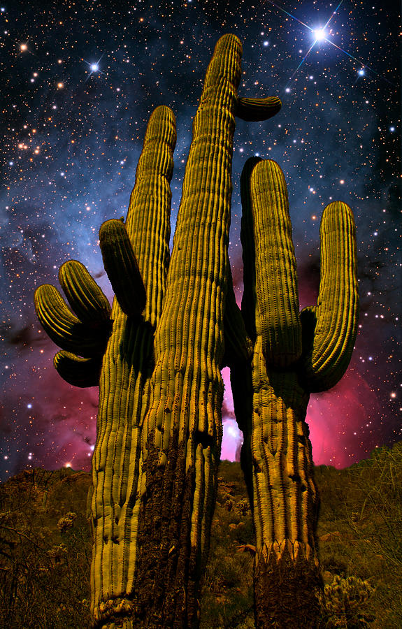 Space Photograph - Saguaro Brothers Galaxy by Nick Kanihan