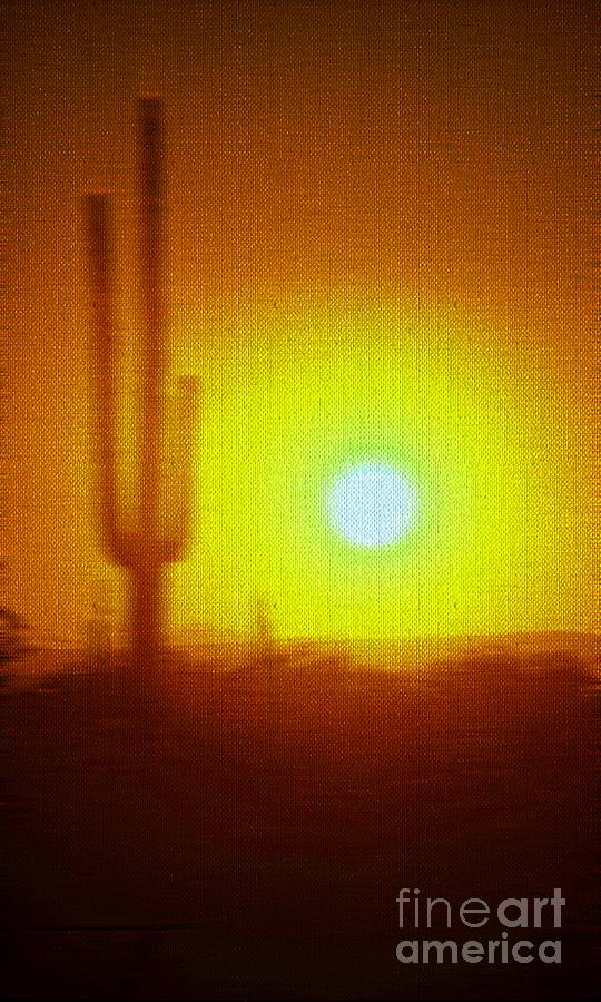 Saguaro Cactus Ver 8 Photograph by Larry Mulvehill