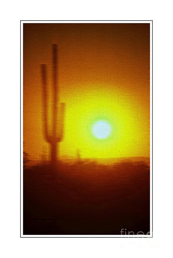 Saguaro Cactus Ver 9 Photograph by Larry Mulvehill