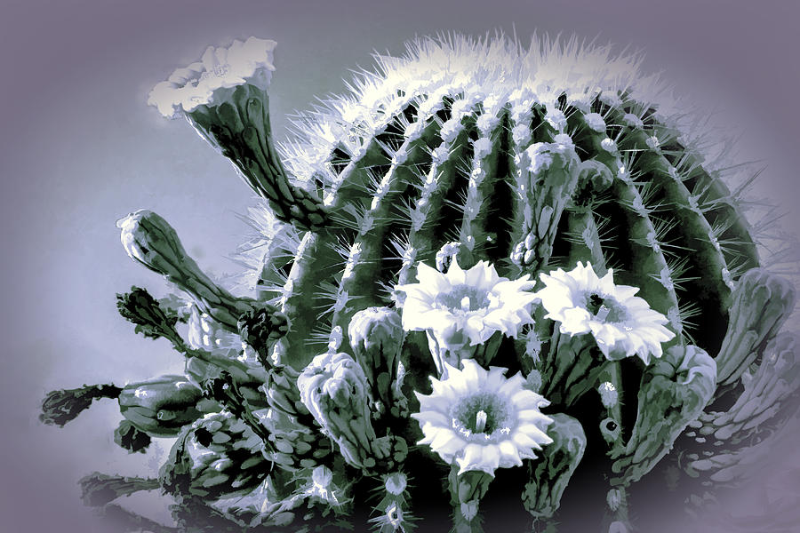 Saguaro in Bloom Digital Art by Georgianne Giese