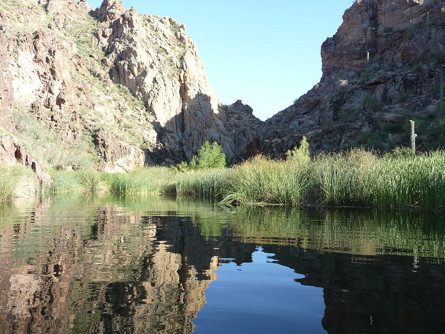 Saguaro Lake Prism Photograph by Jennifer Mathus - Fine Art America