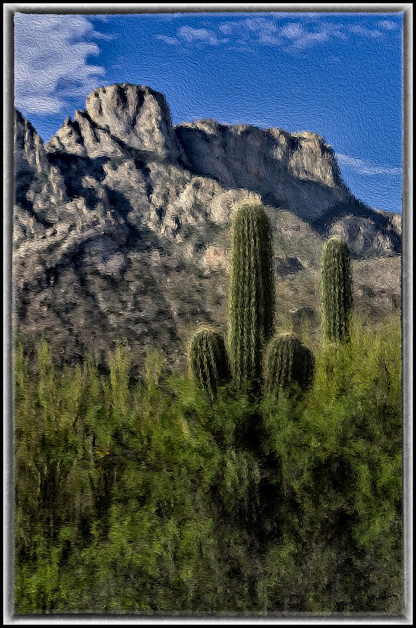 Tucson Photograph - Saguaro Mountain Blend by Mark Myhaver