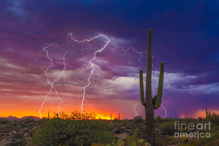 Sunset Photograph - Saguaro Stormy Sunset II by Nicholas  Pappagallo Jr