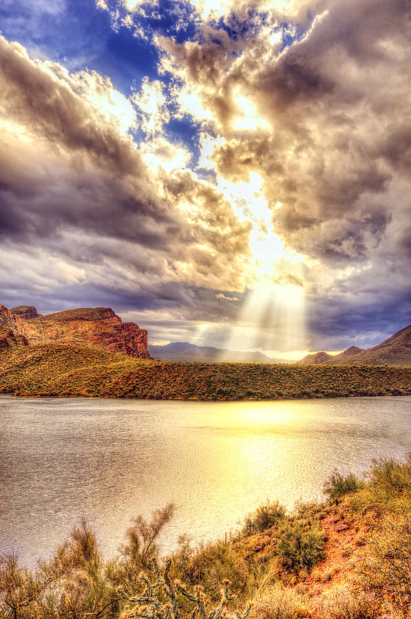 Saguaro Sun Rays  Photograph by Anthony Citro