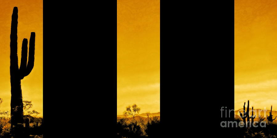 Saguaro Sunset Triptych Digital Art by Tim Richards