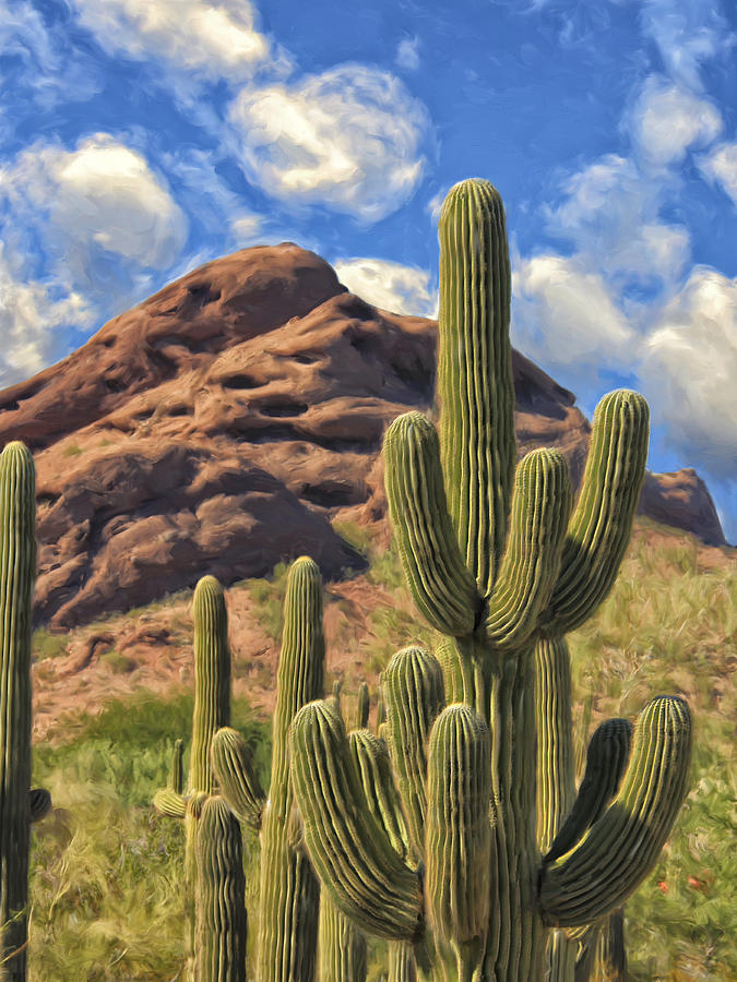 Desert Painting - Saguaros by Dominic Piperata