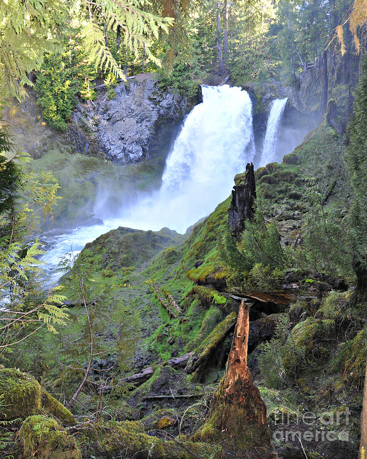 Sahalie Falls Oregon Photograph by Mindy Bench
