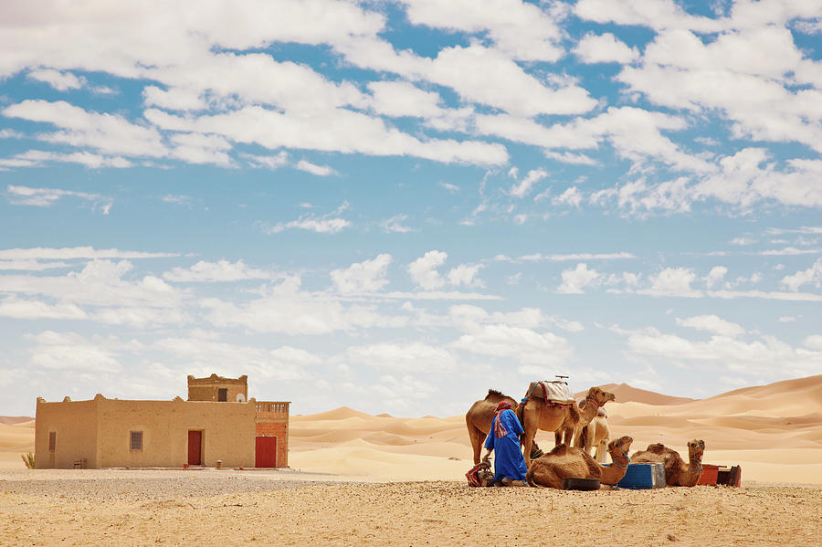 Sahara Berber With Camels Erg Chebbi Photograph by Mlenny