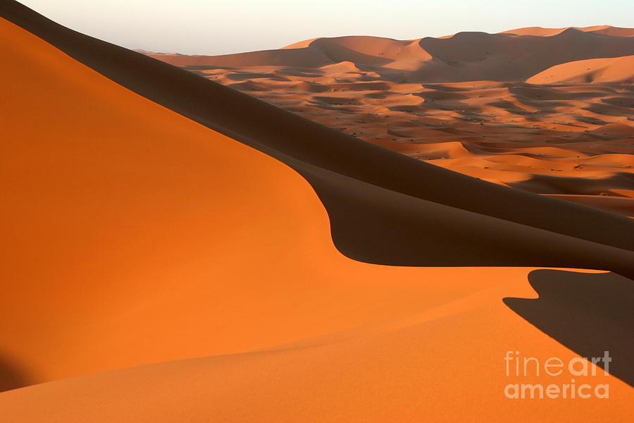 Abstract Photograph - Sahara Desert Dune by Arie Arik Chen