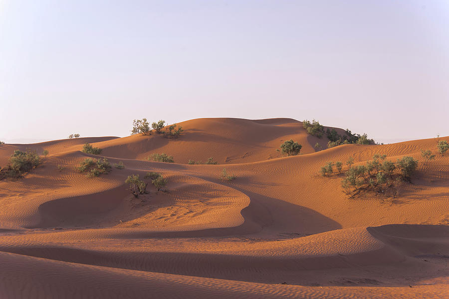 Sahara Desert Photograph by George Pachantouris