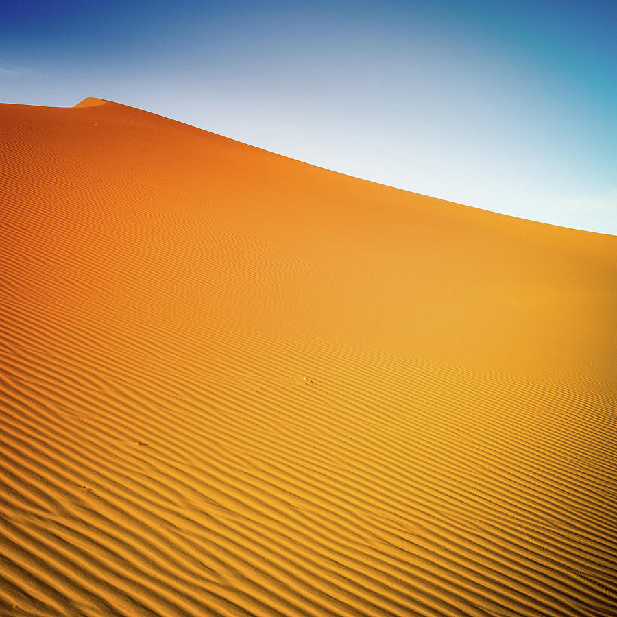 Sahara Desert Sand Dunes Photograph by Moreiso