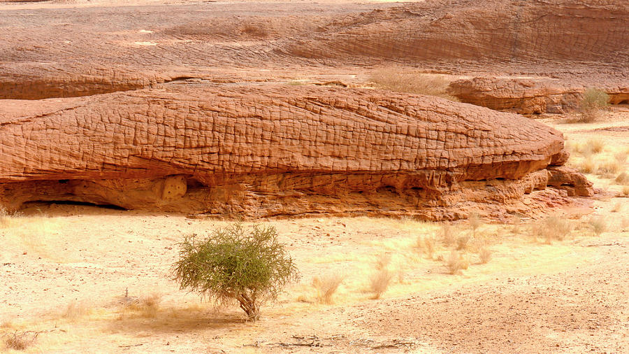 Sahara Desert Photograph by Thierry Berrod, Mona Lisa Production