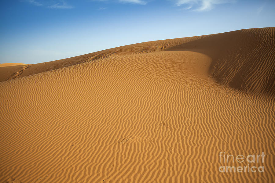 Sahara dunes Photograph by Patricia Hofmeester