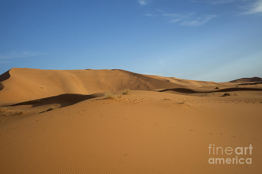 Sahara sand dunes Photograph by Patricia Hofmeester