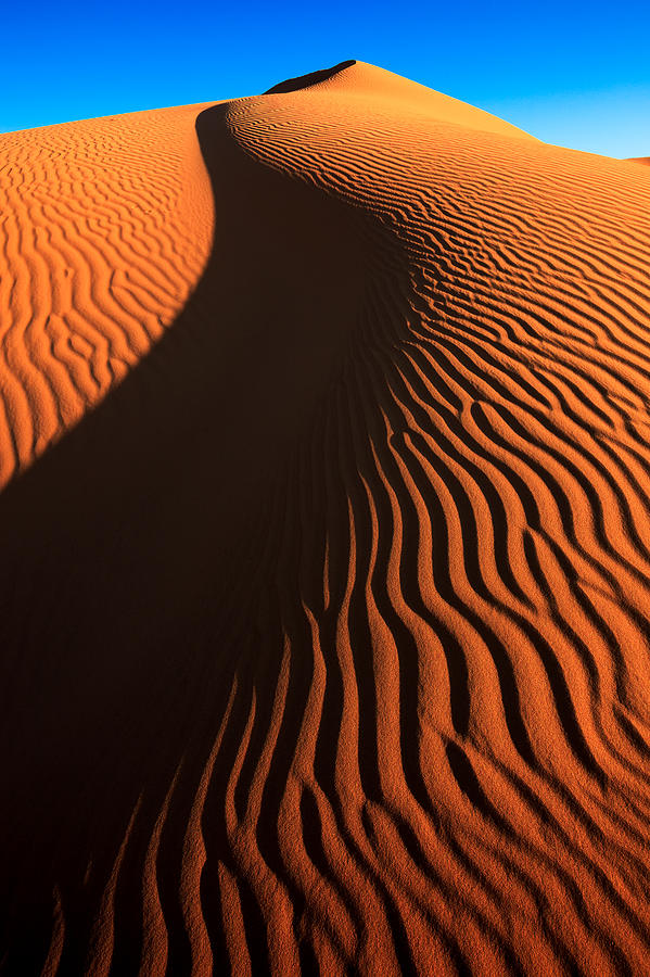 Sahara Sand Dune Photograph by Peter OReilly