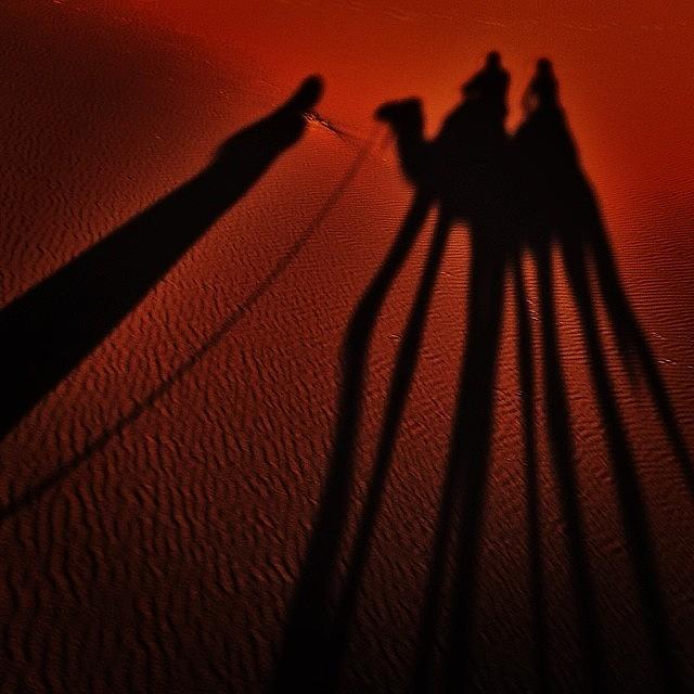 Camel Photograph - Sahara Shadows #morocco by Mark Piunov