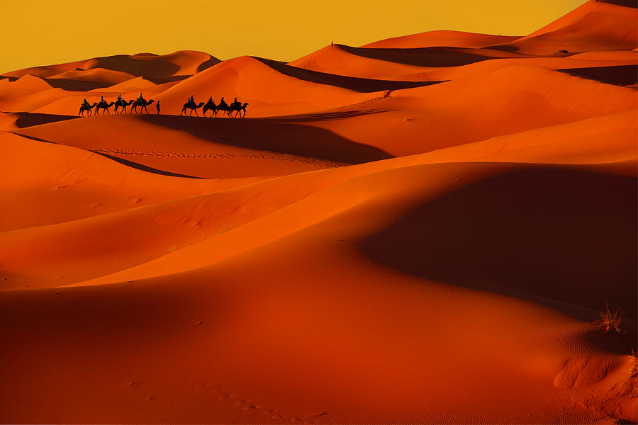 Sunset Photograph - Sahara Story by Midori Chan