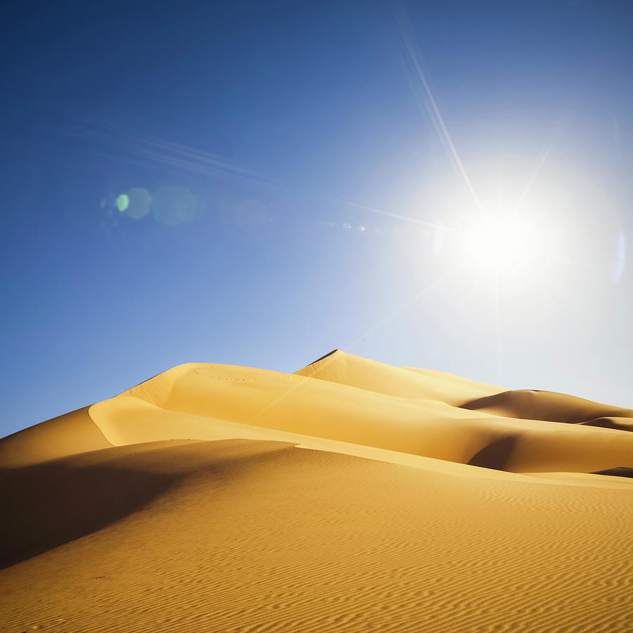 Sahara Sun Photograph by Cinoby