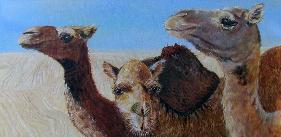 Sahara by Susan Duxter Sahara by Susan Duxter