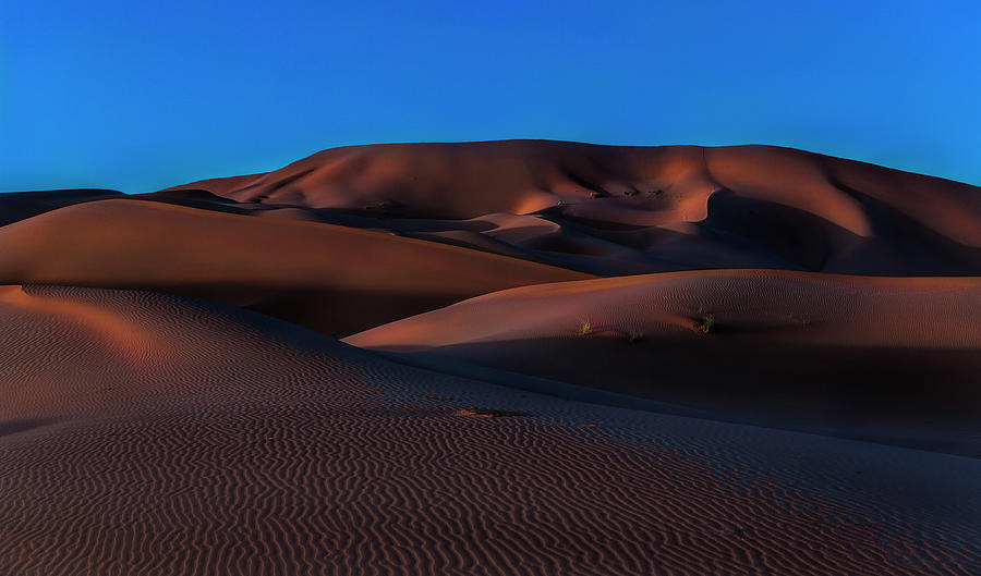 Saharan Dusk Photograph by Dave Greenwood