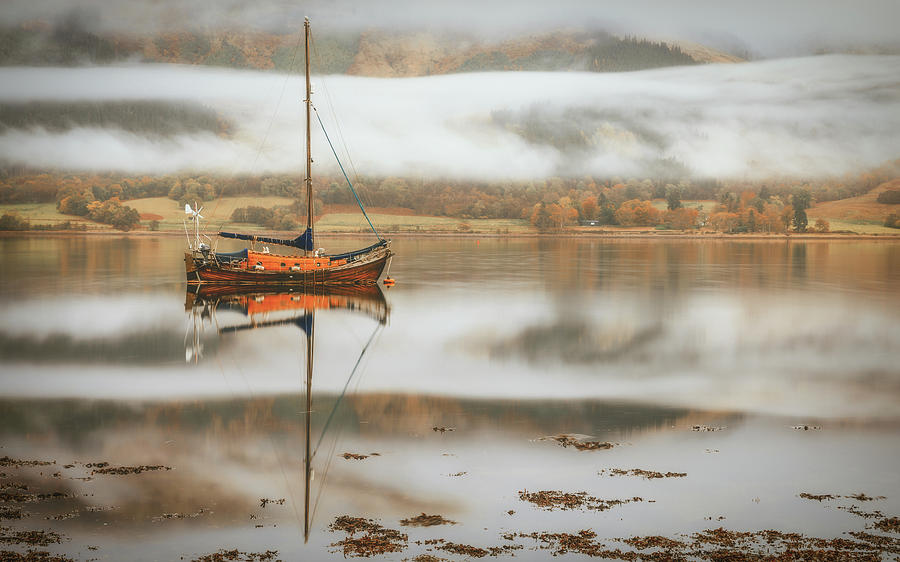 Fall Photograph - Sail by Adrian Popan